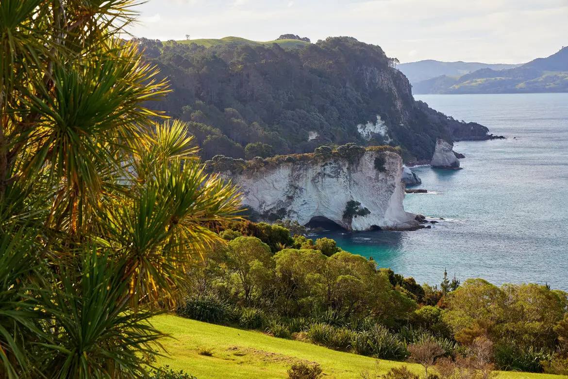 Coromandel Peninsula