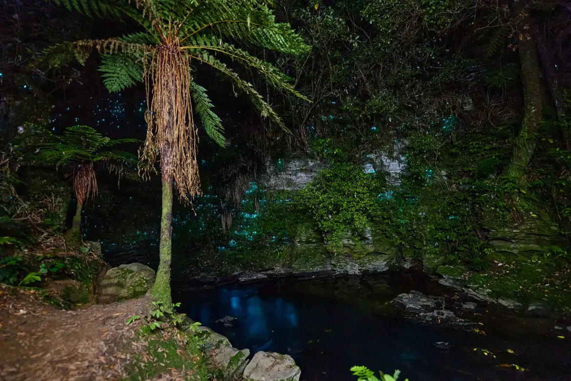 Waitomo Caves